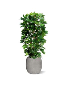 Pianta artificiale a colonna Schefflera 120cm