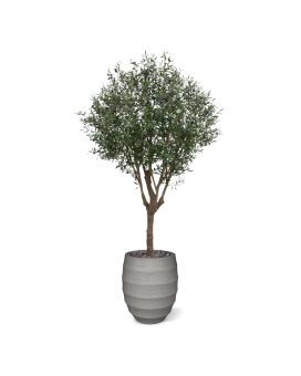 Albero artificiale di ulivo XL 250 cm Deluxe