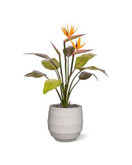 Bouquet artificiale di Strelitzia 75 cm