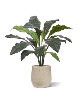 Anthurium artificiale Jungle King pianta Deluxe 130cm