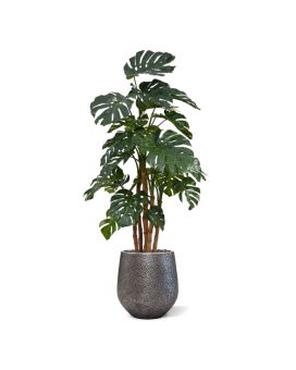 Monstera deluxe x5 pianta artificiale - 180 cm