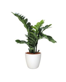 Pianta artificiale di Zamioculcas 65 cm