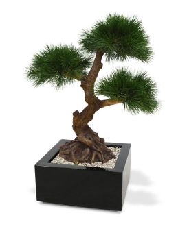 Pinus Bonsai x3 pianta artificiale 60 cm