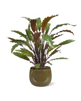 Calathea rossa pianta artificiale 60 cm