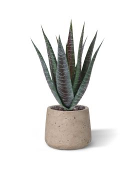 Pianta artificiale di aloe 30 cm