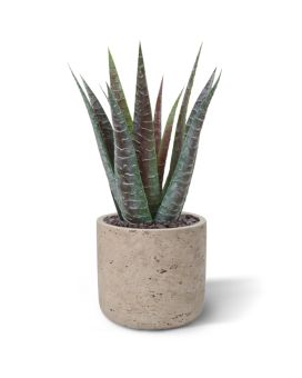 Pianta artificiale di aloe 30 cm