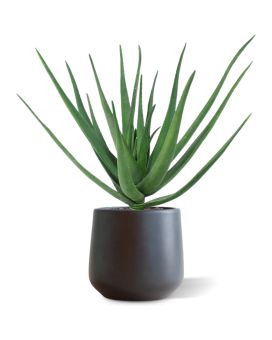 Pianta artificiale Aloe deluxe 60 cm