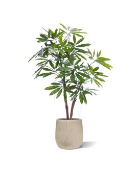 Philodendron Fun Bun Pianta Artificiale 155cm