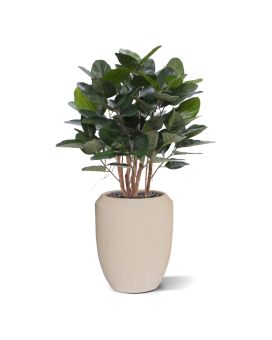 Ficus Audrey pianta artificiale 100cm