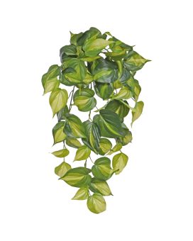 Philodendron Scandens Brasil pianta artificiale ricadente 50cm