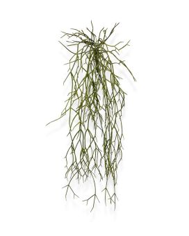 Pianta traente artificiale Rhipsalis Micrantha 55 cm