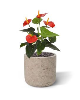 Pianta artificiale di Anthurium 40 cm - rosso