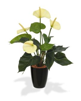 Pianta artificiale di Anthurium 40cm - crema in vaso da 10cm