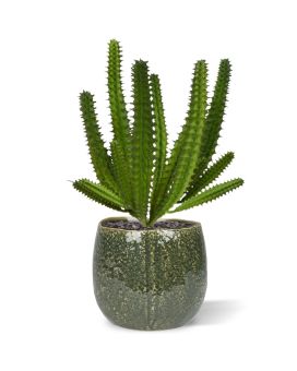 Bouquet di mini cactus artificiali Euphorbia 20 cm