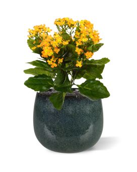 Pianta artificiale Kalanchoe 30 cm - arancione