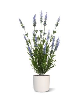 Bouquet artificiale di lavanda 50 cm blu UV