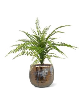 Bouquet di felci artificiali Asplenium 45 cm