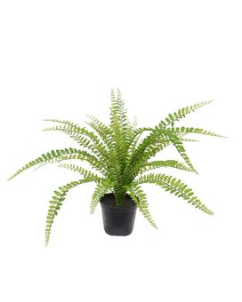 Asplenium Fern pianta artificiale 45 cm