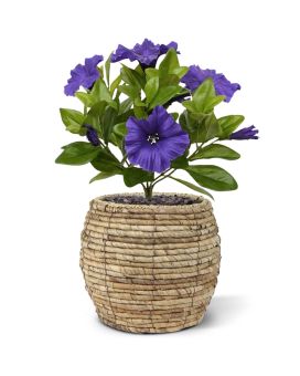 Bouquet di petunie artificiali 25 cm viola