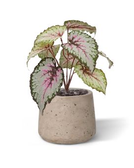 Bladbegonia kunstplant 25cm