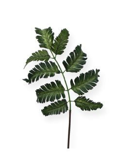 Foglia di felce Pteris 50 cm