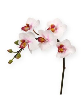 Mini Phalaenopsis artificiale 50 cm rosa