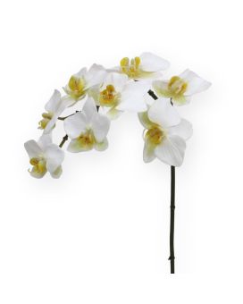 Orchidea Phalaenopsis pianta artificiale 80 cm bianco