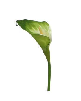 Calla fiore artificiale a stelo 55 cm verde-bianco