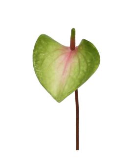 Ramo artificiale di Anthurium S 50 cm rosa-verde