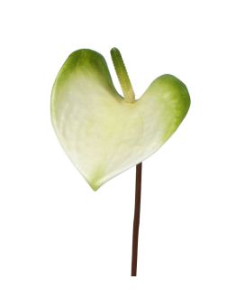 Pianta artificiale di Anthurium S 50 cm bianco-verde