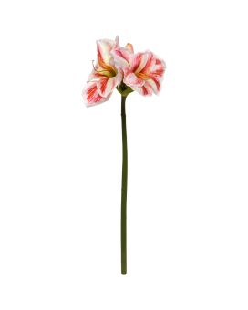 Amaryllis Fiore Artificiale 67cm Bianco Rosso