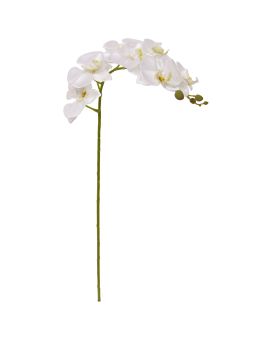 Fiore artificiale Phalaenopsis 95 cm bianco