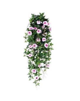 Pianta di Petunia rampicante 100cm rosa