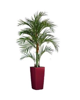 Palma artificiale Areca deluxe 180 cm