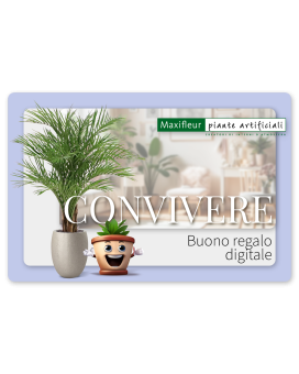 Buono regalo digitale Maxifleur - Convivenza