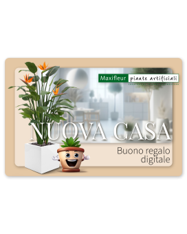 Buono regalo digitale Maxifleur - Nuova Abitazione