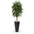 Albero artificiale Longifolia Royal deluxe 165cm