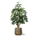 Pianta artificiale di Schefflera Exotica 120 cm