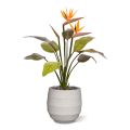 Bouquet artificiale di Strelitzia 75 cm