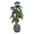 Monstera deluxe x5 pianta artificiale - 180 cm