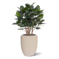 Ficus Audrey pianta artificiale 100cm