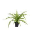 Asplenium Fern pianta artificiale 45 cm