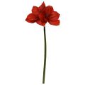 Fiore artificiale Amaryllis 67cm Rosso