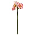 Amaryllis Fiore Artificiale 67cm Bianco Rosso