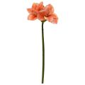 Fiore artificiale Amaryllis 67cm Salmone